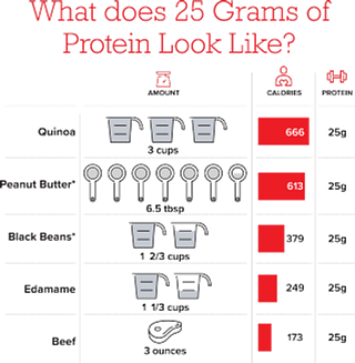 What Does 25 Grams of Protein Look Like
